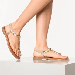 Schuh Verkaufs-Shop -Schuh Verkaufs-Shop 13273434 02